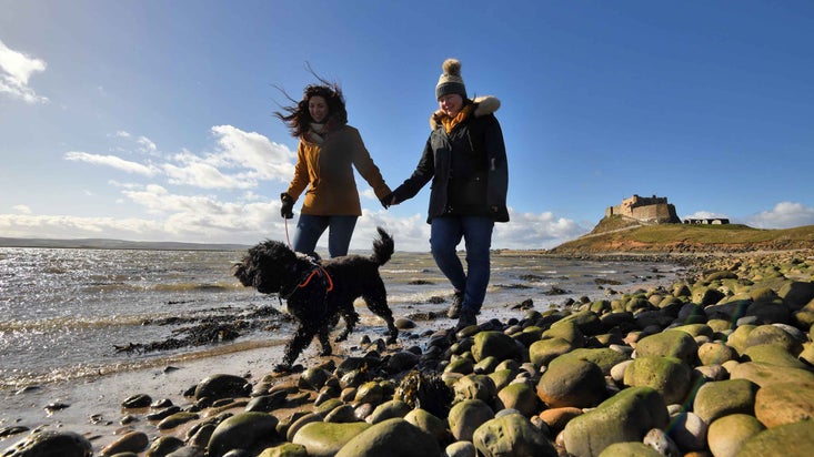 Visitors walking with their dog on the beach at Lindisfarne Castle, Northumberland